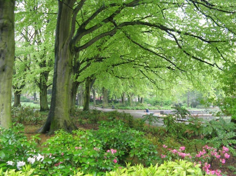 paleistuin.jpg