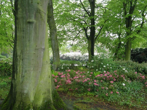 Parks and Gardens in The Hague